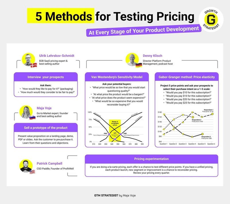 Maja Voje shares price testing methods for AI GTM