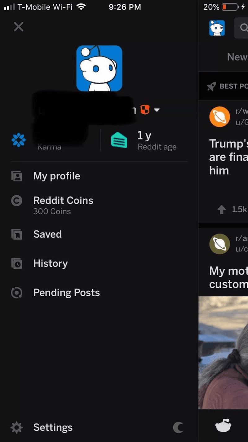 reddit karma points and coins